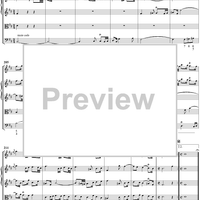Orchestral Suite No. 2 in B Minor - Score