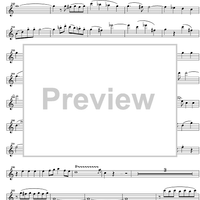 Concerto C Major KV299 - Flute