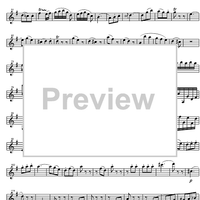 Concerto No. 3 G Major, KV216 - Violin