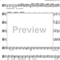 String Quartet g minor Op.13 - Viola