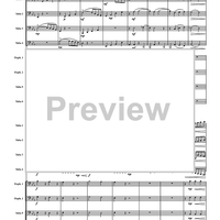 Symphony No.1 (First Movement) - Score