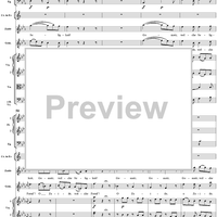 "Meine Seele hüpft vor Freuden", No. 5 from "Zaide", Act 1, K336b (K344) - Full Score