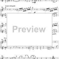 Suite No. 3 for Orchestra. Part 4. Tema con variazioni