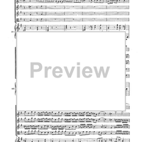 Double Concerto for Recorder and Flute in E minor - Score