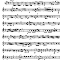 Quartet D Major KV285 - Violin