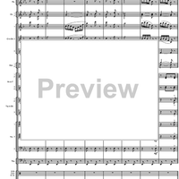 Final Galop from the Guard of Amager - Score