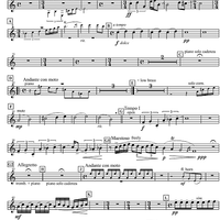 Concertpiece - B-flat Ripieno Cornet