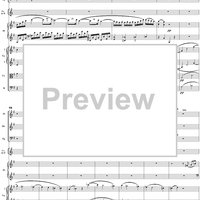 Piano Concerto No. 17 in G Major, Movement 3 (K453) - Full Score