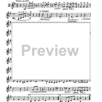 Mandolin & Guitar Collection No. 21 - Mandolin Obligato