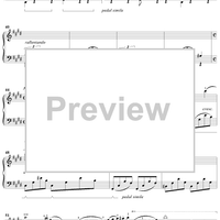 Forgotten Nocturne (Nocturne in C-Sharp Minor)