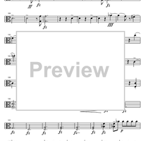 String Quintet C Major D956 - Viola