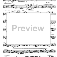 Preliminary studies to 'The Accomplished Clarinettist' Vol. 3 - Clarinet