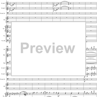 Piano Concerto No. 21 in C Major ("Elvira Madigan"), Movement 1 (K467) - Full Score