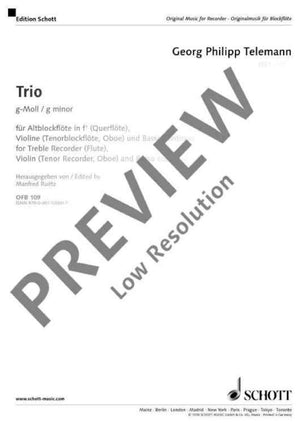 Trio G minor