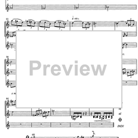 Die Stadtmusikanten - Score