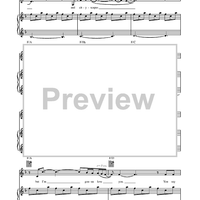 Bright Lights and Cityscapes