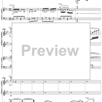 Concert Fantasy. Part 2. Contrastes