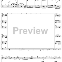 Flute Concerto in G Major - Piano