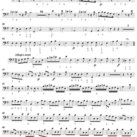 Concerto in E Minor    - from "L'Estro Armonico" - Op. 3/4  (RV550) - Bass