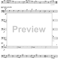 Harry's Wondrous World