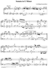 Sonata in E Minor (1787)