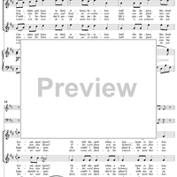 Twenty five Irische Lieder