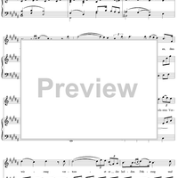 Winterreise (Song Cycle), Op.89, No. 12 - Einsamkeit, D911