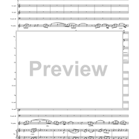 Violin Concerto in E Minor, Movement 2 - Full Score
