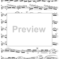 Grand Duo in D Major, Op. 39, No. 3 - Flute 1