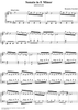 Sonata in E minor - K98/P219/L325