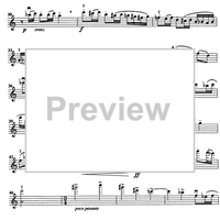 Godalni Quartet - Violin 1