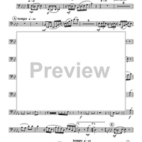 Suite for Horn and Tuba - Tuba