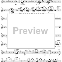 Quintet in C Minor - Flute