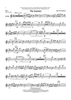 The Journey - Flute