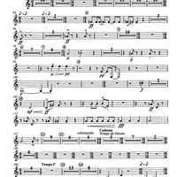 Concertino giocoso Op. 12 - Horn in F 4