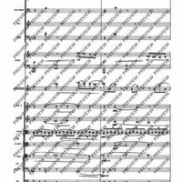 Il Vitalino raddoppiato - Full Score