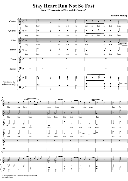 Stay Heart Run Not So Fast