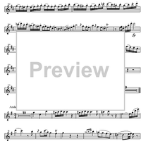 Concerto No. 2 C Major KV314 - Flute