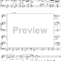 Wer sein holdes Lieb verloren, No. 7 from "Spanisches Liederbuch" II