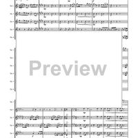 Circuite Suicus - Score