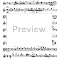 Concerto in F Major for Flute, Strings and Cembalo - Flute