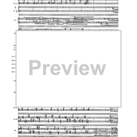 Birds In Light - Full Score