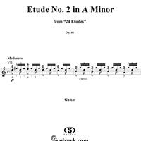 Etude No. 2 in A minor - From "24 Etudes"  Op. 48