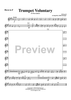 Trumpet Voluntary - Horn