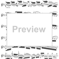 Twenty-Four Caprices: Nos. 13 - 24