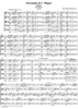Serenade for String Orchestra in C major (C-dur). Movement III, Elegia - Score