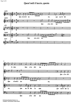 Il laccio shop shop on line