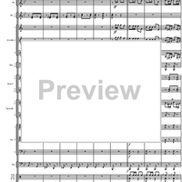 Final Galop from the Guard of Amager - Score