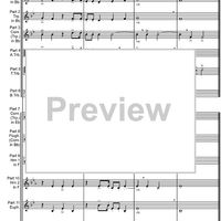 Canzon Duodecimi Toni - Score