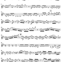 Duo No. 6 in D Major - Violin